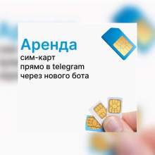ArendaSIMCardNew_bot