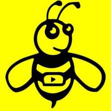 Beetube_bot