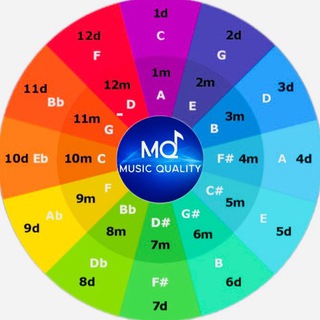Camelot_wheel_bot