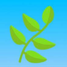 HerbChatBot