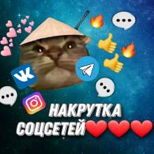 Kitonakrytka_bot