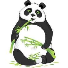 PandaQuizBot