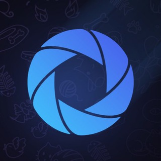 aibuddy_tgbot