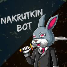 nakrutkinn_Bot